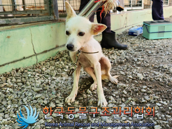 한국동물구조관리협회_441560202301152